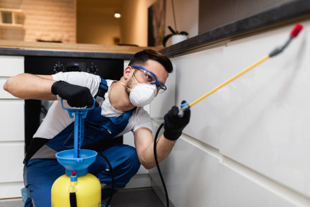 Best Wildlife Control Services  in Thornton, IL
