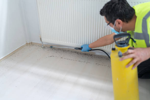 Pest Prevention Services in Thornton, IL